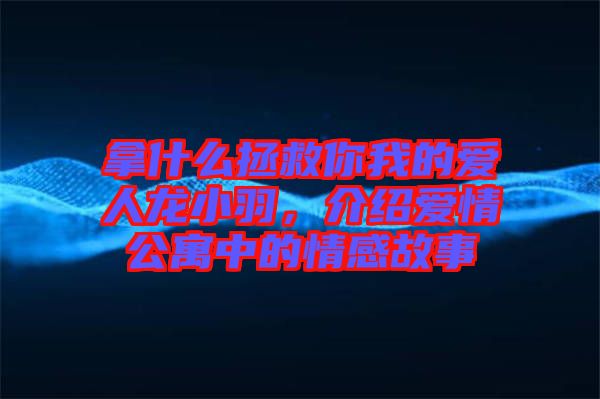 拿什么拯救你我的愛人龍小羽，介紹愛情公寓中的情感故事