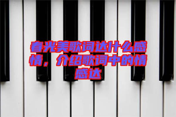 春光美歌詞達(dá)什么感情，介紹歌詞中的情感達(dá)