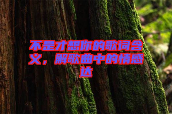 不是才想你的歌詞含義，解歌曲中的情感達(dá)