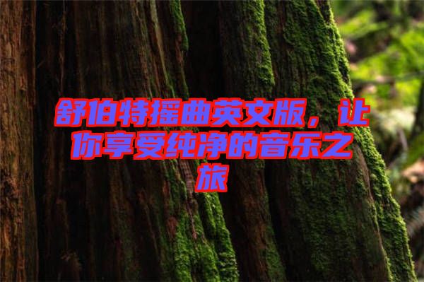 舒伯特?fù)u曲英文版，讓你享受純凈的音樂之旅