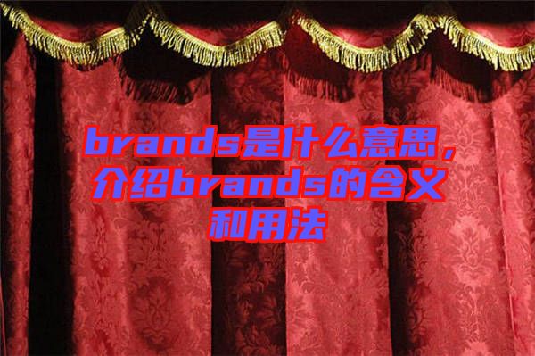 brands是什么意思，介紹brands的含義和用法