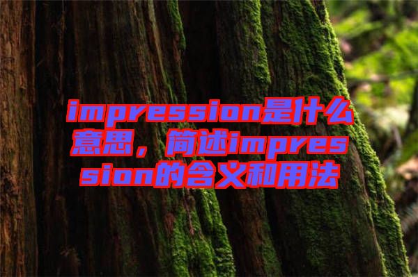 impression是什么意思，簡述impression的含義和用法