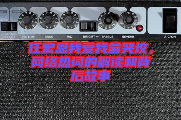 任宏恩我愛我爹哭墳，網(wǎng)絡熱詞的解讀和背后故事