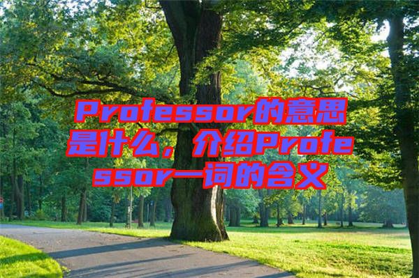 Professor的意思是什么，介紹Professor一詞的含義