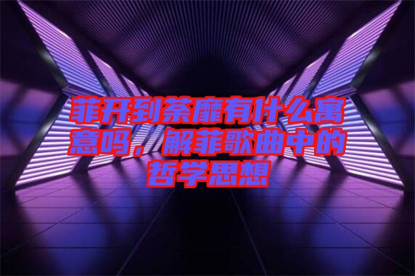 菲開到荼靡有什么寓意嗎，解菲歌曲中的哲學(xué)思想