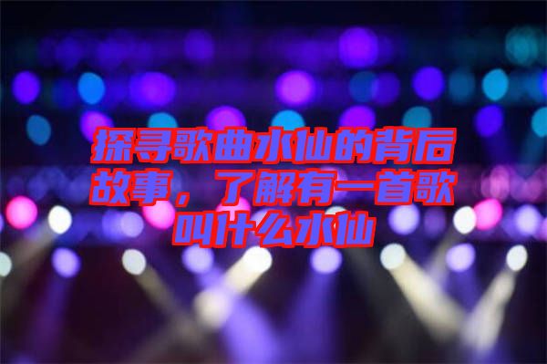 探尋歌曲水仙的背后故事，了解有一首歌叫什么水仙