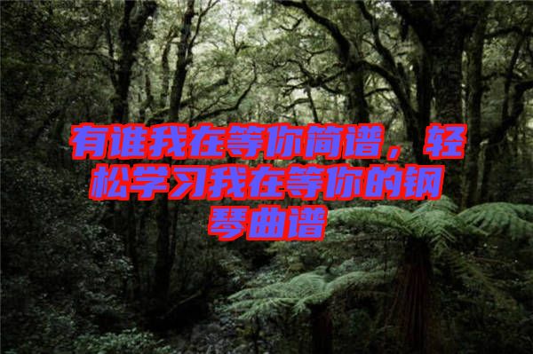 有誰(shuí)我在等你簡(jiǎn)譜，輕松學(xué)習(xí)我在等你的鋼琴曲譜