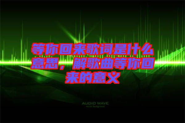 等你回來歌詞是什么意思，解歌曲等你回來的意義