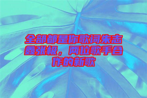 全部都是你歌詞朱志鑫張極，兩位歌手合作的新歌