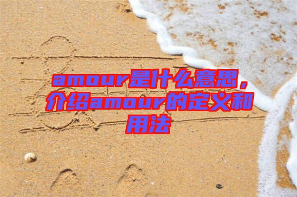 amour是什么意思，介紹amour的定義和用法