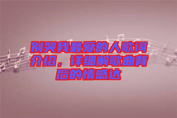 別哭我最愛的人歌詞介紹，詳細(xì)解歌曲背后的情感達(dá)