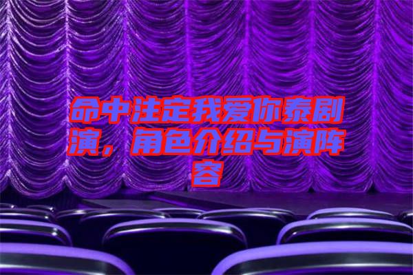 命中注定我愛(ài)你泰劇演，角色介紹與演陣容