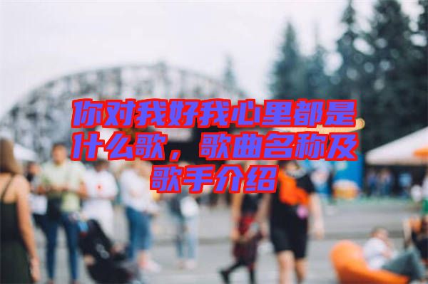 你對(duì)我好我心里都是什么歌，歌曲名稱及歌手介紹