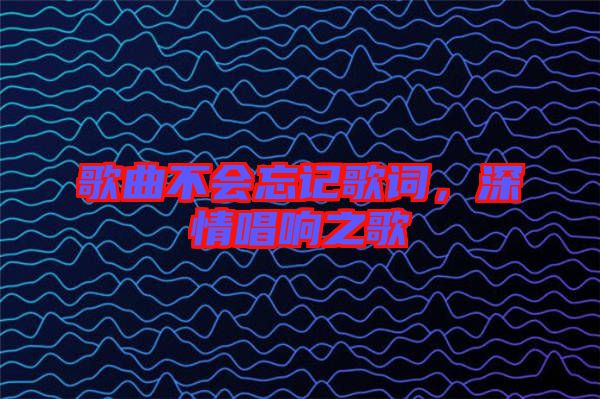 歌曲不會(huì)忘記歌詞，深情唱響之歌