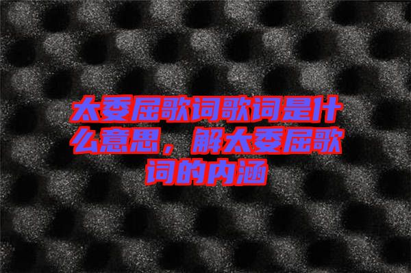 太委屈歌詞歌詞是什么意思，解太委屈歌詞的內(nèi)涵