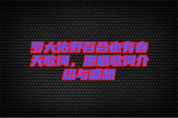 羅大佑野百合也有春天歌詞，原唱歌詞介紹與感想