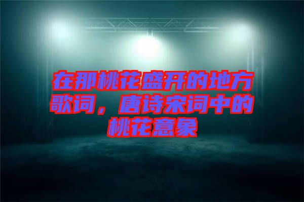 在那桃花盛開的地方歌詞，唐詩(shī)宋詞中的桃花意象