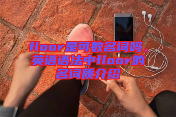 floor是可數(shù)名詞嗎，英語語法中floor的名詞質(zhì)介紹