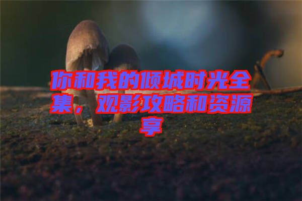 你和我的傾城時光全集，觀影攻略和資源享