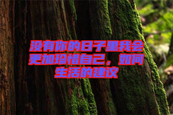 沒有你的日子里我會(huì)更加珍惜自己，如何生活的建議