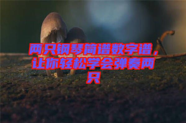 兩只鋼琴簡(jiǎn)譜數(shù)字譜，讓你輕松學(xué)會(huì)彈奏兩只