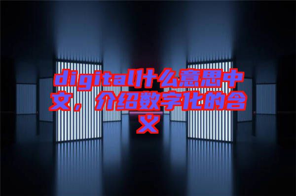 digital什么意思中文，介紹數(shù)字化的含義