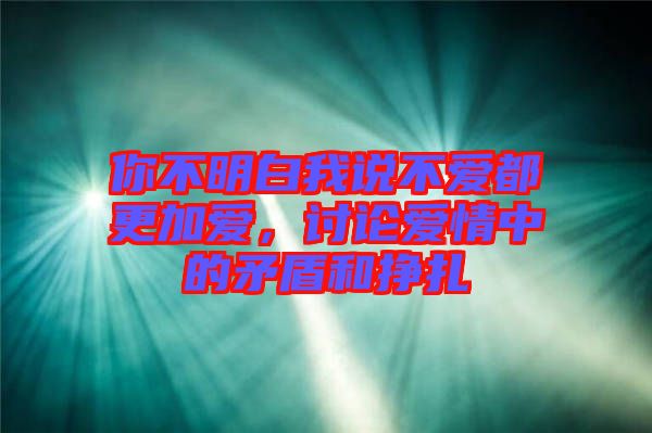 你不明白我說不愛都更加愛，討論愛情中的矛盾和掙扎