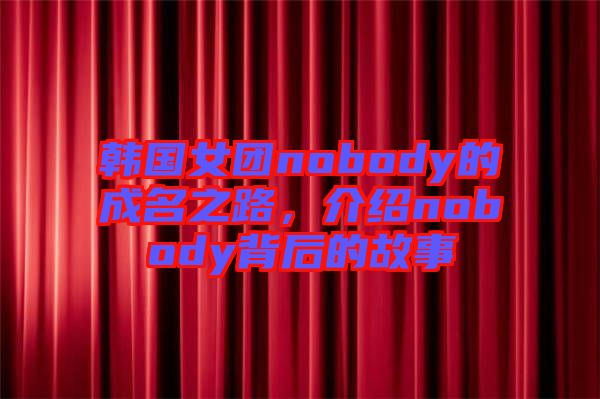 韓國(guó)女團(tuán)nobody的成名之路，介紹nobody背后的故事