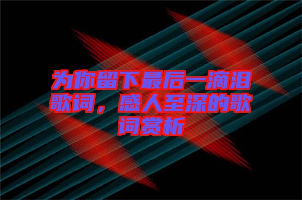 為你留下最后一滴淚歌詞，感人至深的歌詞賞析