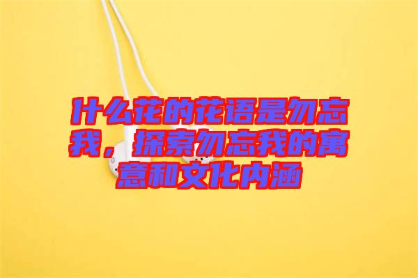 什么花的花語是勿忘我，探索勿忘我的寓意和文化內涵