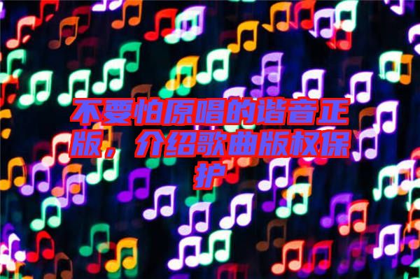 不要怕原唱的諧音正版，介紹歌曲版權(quán)保護(hù)