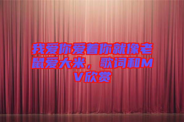 我愛你愛著你就像老鼠愛大米，歌詞和MV欣賞