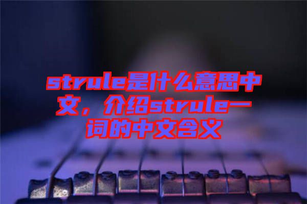 strule是什么意思中文，介紹strule一詞的中文含義