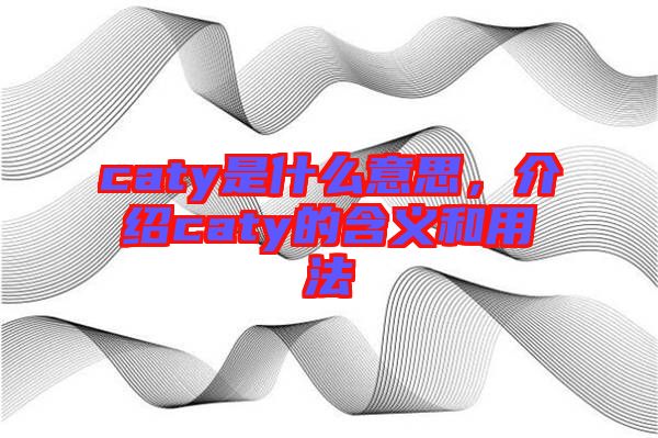 caty是什么意思，介紹caty的含義和用法