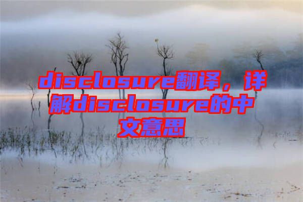 disclosure翻譯，詳解disclosure的中文意思