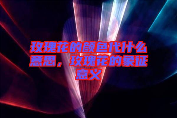 玫瑰花的顏色代什么意思，玫瑰花的象征意義