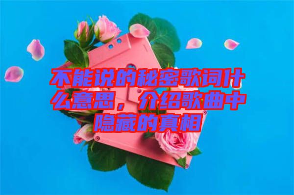 不能說的秘密歌詞什么意思，介紹歌曲中隱藏的真相