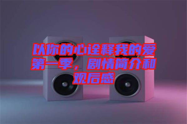 以你的心詮釋我的愛第一季，劇情簡介和觀后感