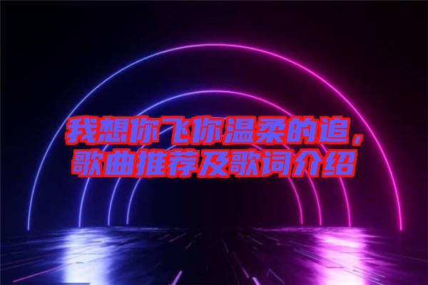 我想你飛你溫柔的追，歌曲推薦及歌詞介紹