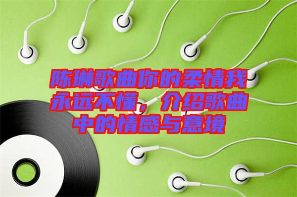 陳琳歌曲你的柔情我永遠(yuǎn)不懂，介紹歌曲中的情感與意境