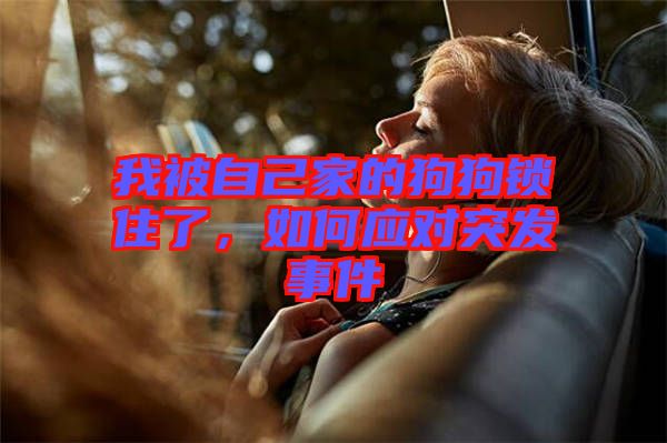 我被自己家的狗狗鎖住了，如何應(yīng)對(duì)突發(fā)事件