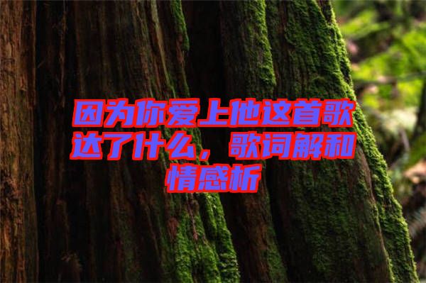 因為你愛上他這首歌達了什么，歌詞解和情感析