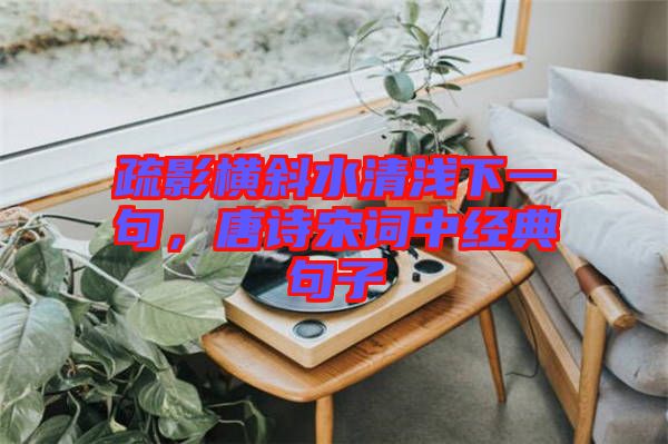 疏影橫斜水清淺下一句，唐詩宋詞中經(jīng)典句子