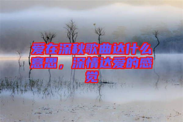 愛在深秋歌曲達(dá)什么意思，深情達(dá)愛的感覺