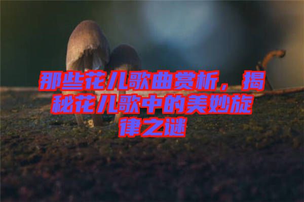 那些花兒歌曲賞析，揭秘花兒歌中的美妙旋律之謎