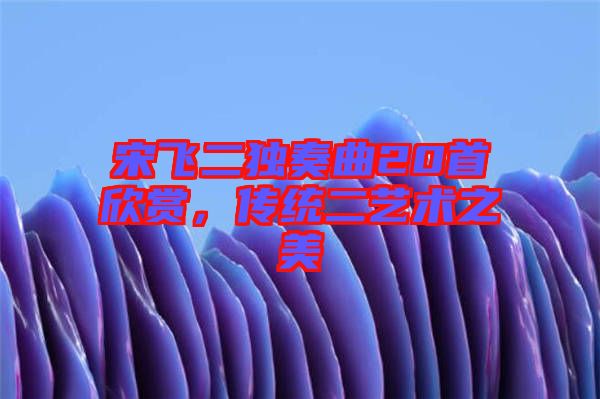 宋飛二獨奏曲20首欣賞，傳統(tǒng)二藝術之美