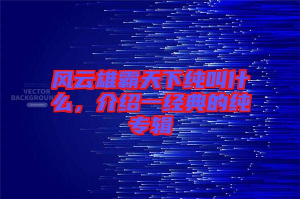 風(fēng)云雄霸天下純叫什么，介紹一經(jīng)典的純專輯