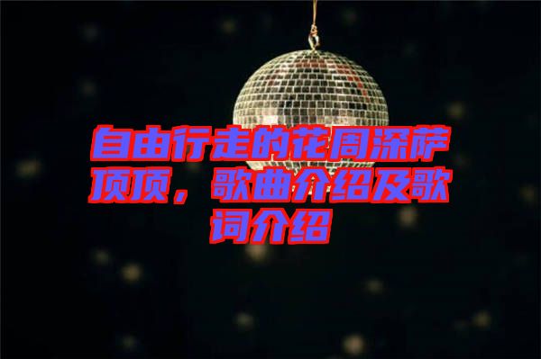 自由行走的花周深薩頂頂，歌曲介紹及歌詞介紹