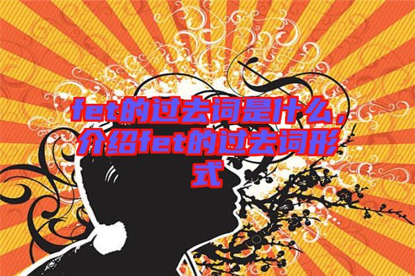 fet的過(guò)去詞是什么，介紹fet的過(guò)去詞形式