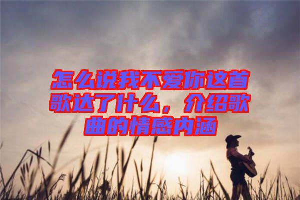 怎么說我不愛你這首歌達了什么，介紹歌曲的情感內(nèi)涵